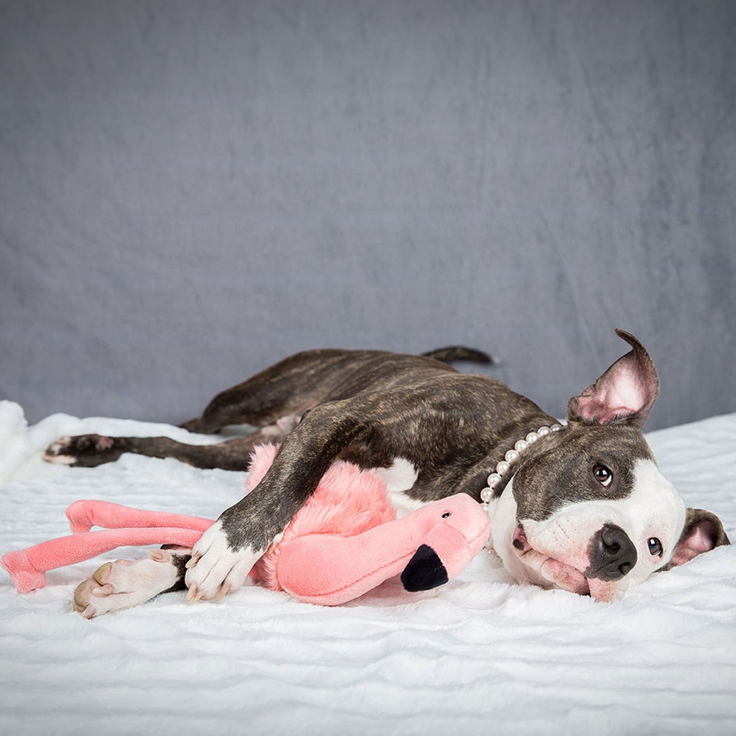 Fluff & Tuff Lola Flamingo Plush Dog Toy - 18in