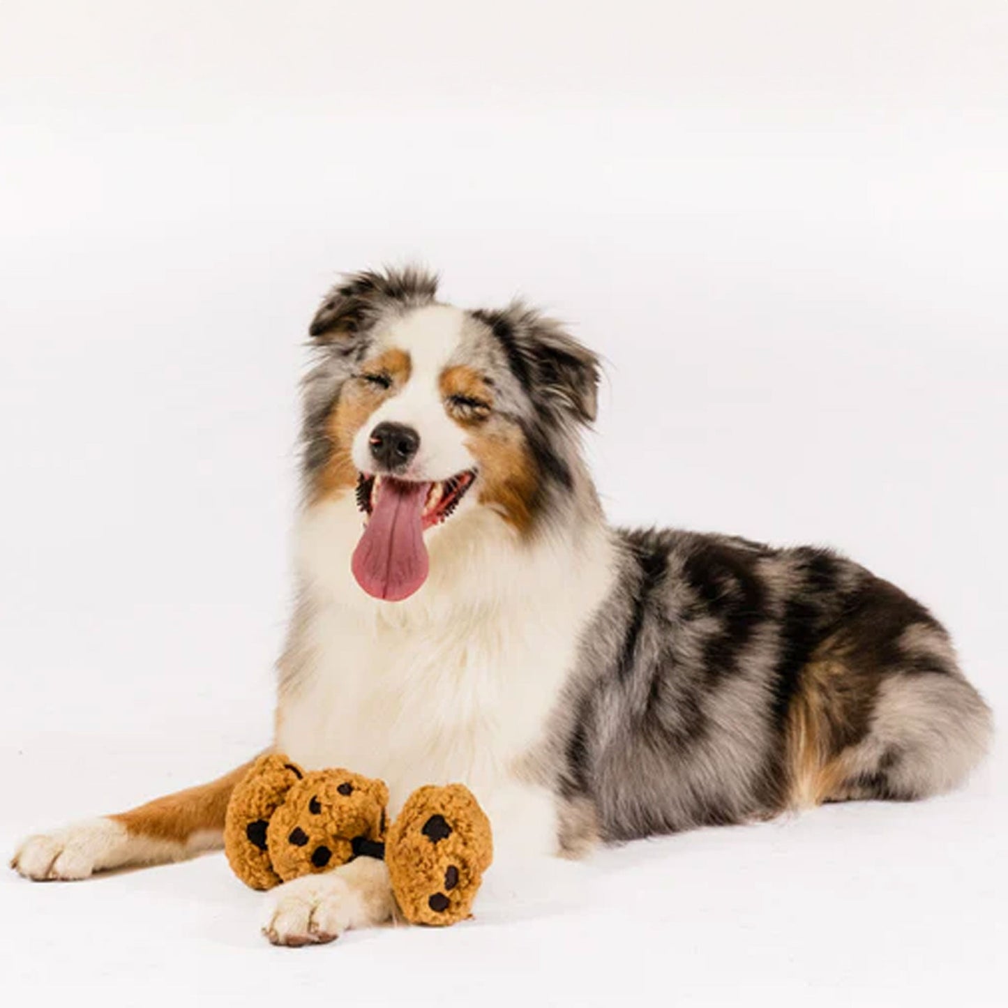P.L.A.Y. Cafe Cookies Dog Toy