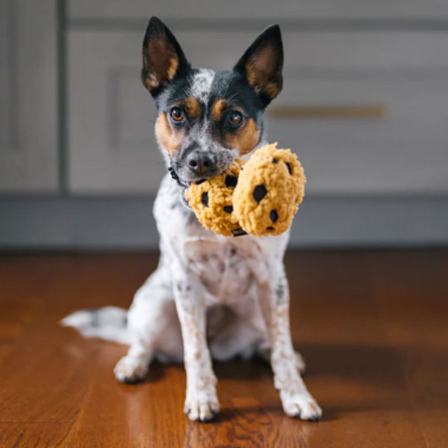 P.L.A.Y. Cafe Cookies Dog Toy