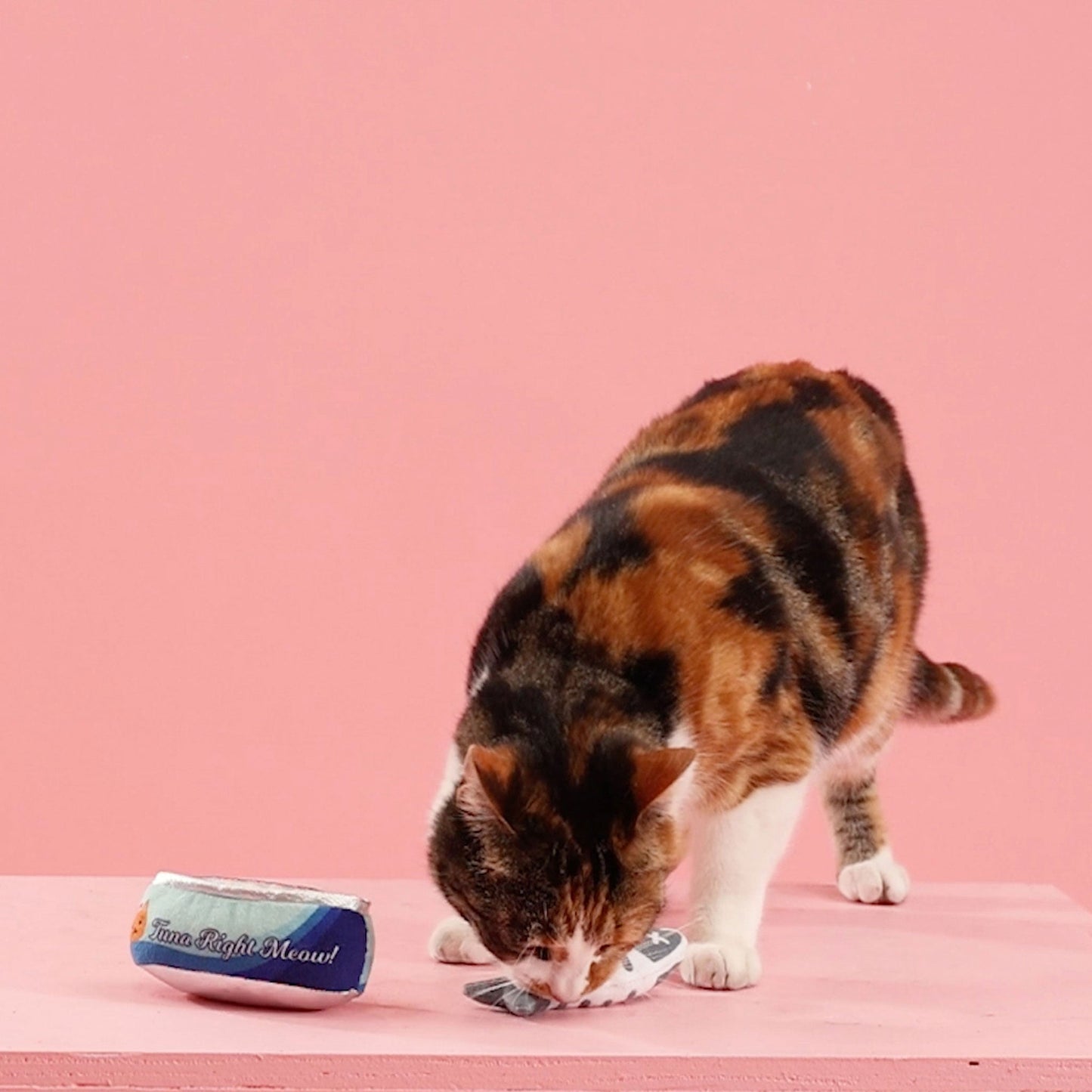 Fringe Tuna Right Meow Multi Cat Toys