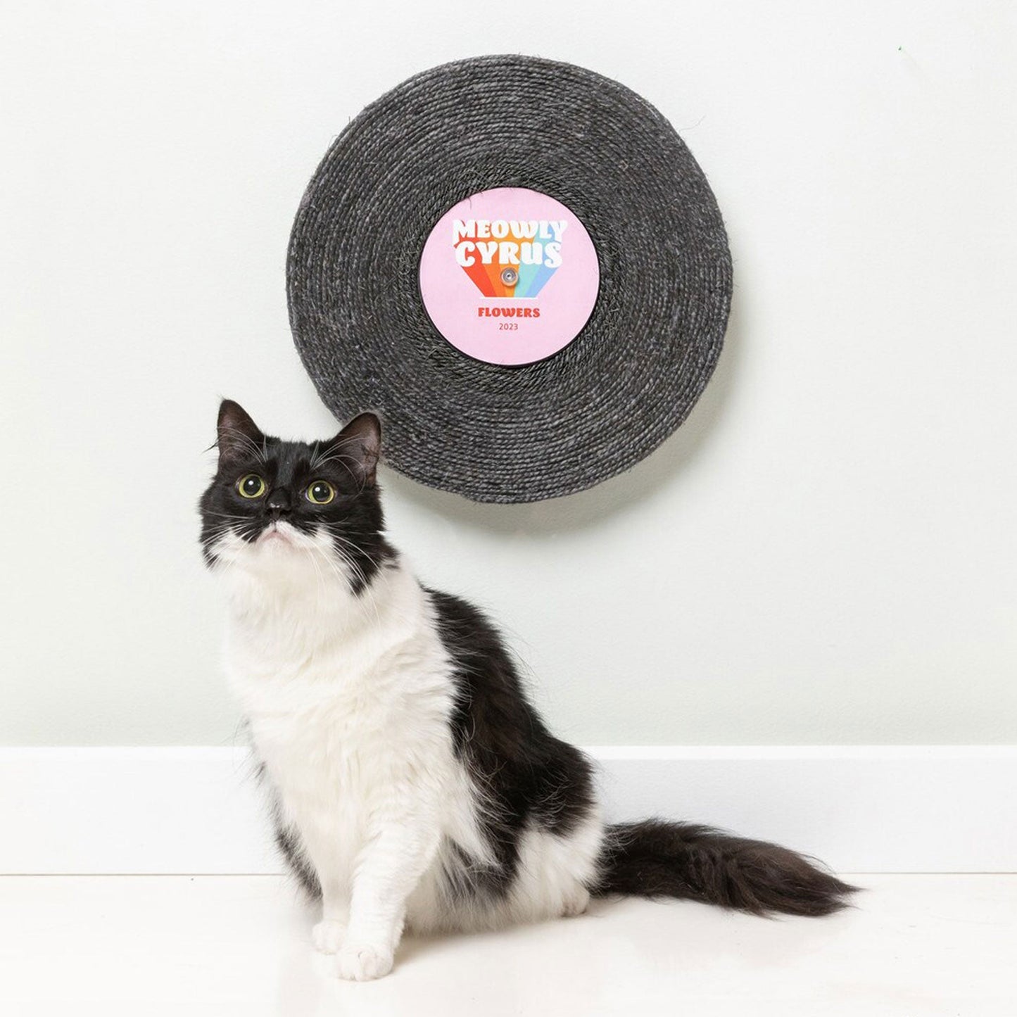 Fuzzyard Meowly Cyrus Record Scratcher Black Cat Scratchers