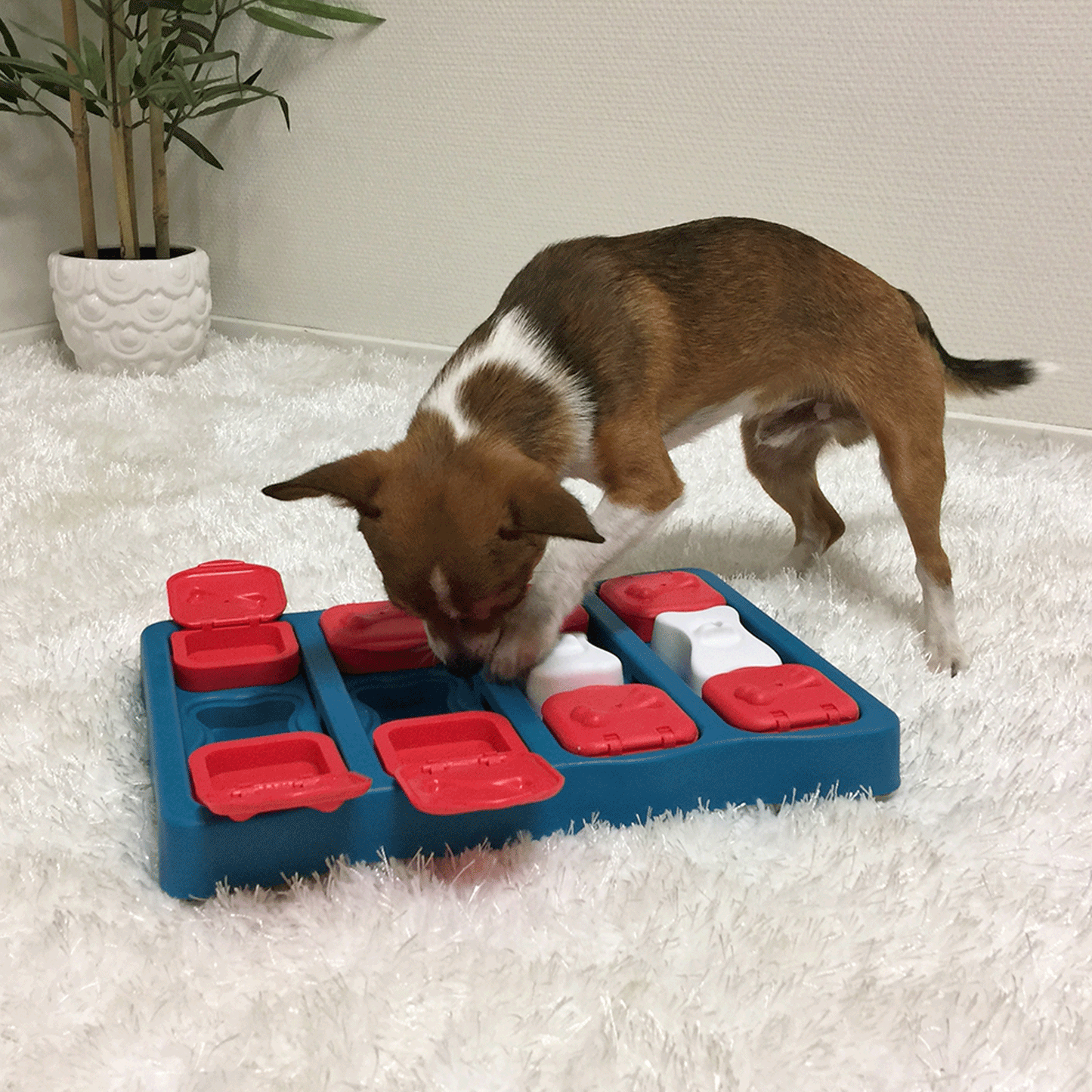 Nina Ottosson Dog Brick Blue Dog Toys