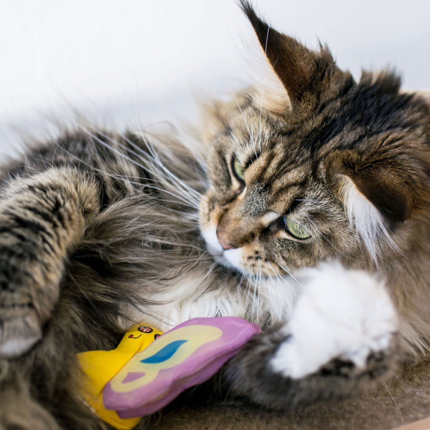 YEOWWW! Butterfly Toy Purple Cat Toys